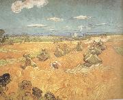 Vincent Van Gogh Wheat Stacks wtih Reaper (nn04) china oil painting reproduction